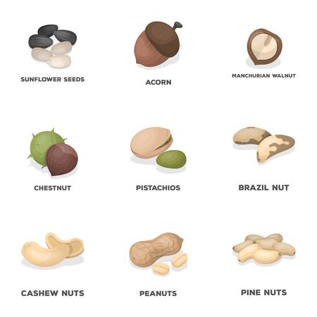 Hazelnut, pistachios, walnut, almonds.Different kinds of nuts set collection icons in cartoon style vector symbol stock illustration web.のイラスト素材