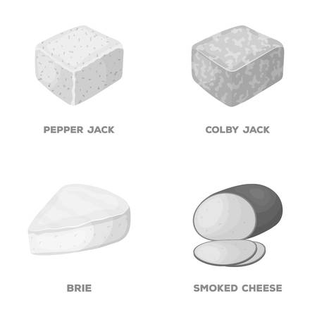 Brynza, smoked, colby jack, pepper jack.Different types of cheese set collection icons in monochrome style vector symbol stock illustration web.のイラスト素材