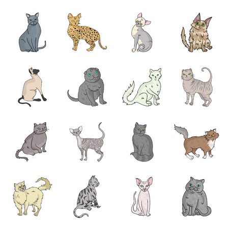 Cat breeds set icons in cartoon style. Big collection of cat breeds vector symbol stock illustrationのイラスト素材