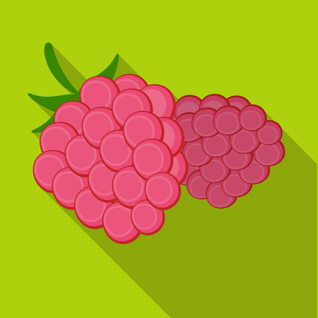 Raspberry, sweet fruit.Fruit single icon in flat style vector symbol stock illustration .のイラスト素材