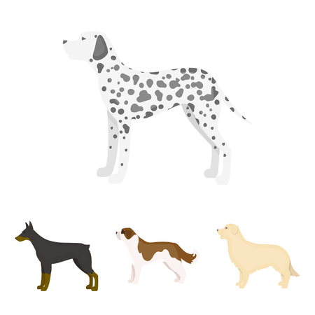 St. Bernard, retriever,doberman, labrador. Dog breeds set collection icons in cartoon style vector symbol stock illustration web.のイラスト素材