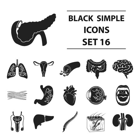 Organs set icons in black style. Big collection organs vector symbol stock illustrationのイラスト素材