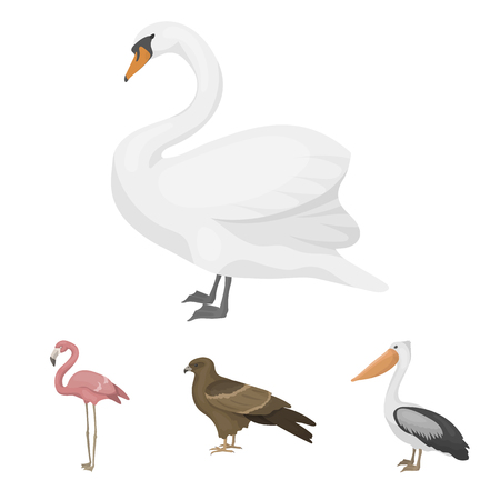 Kite, pelican, flamingo, swan. Birds set collection icons in cartoon style vector symbol stock illustration .のイラスト素材