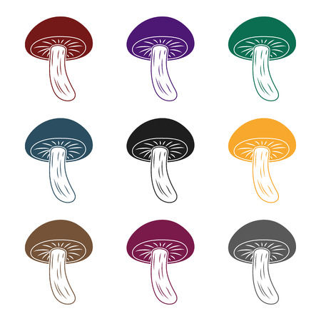 Shiitake iconのイラスト素材