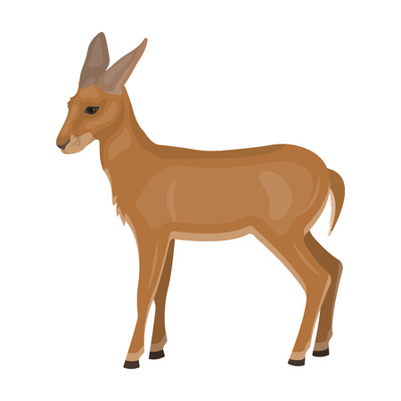 A young, wild antelope. A wild-footed animal of an antelope single icon in cartoon style vector symbol stock illustration .のイラスト素材