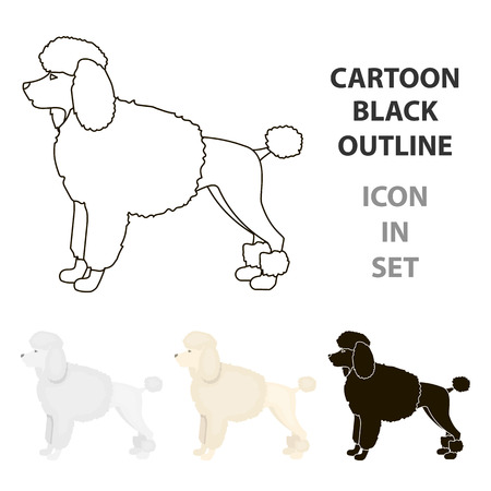 Poodle vector illustration icon in cartoon designのイラスト素材