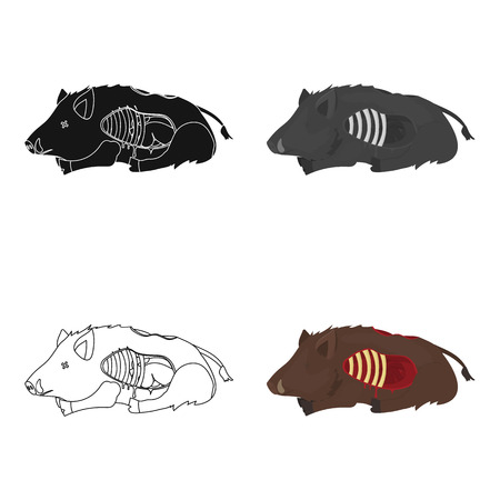 Boar single icon in cartoon style. Boar, vector symbol stock illustration web.のイラスト素材