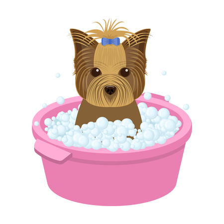 Bathing pet puppy in a bowl. dog,Pet,dog care single icon in cartoon style vector symbol stock illustration web.のイラスト素材