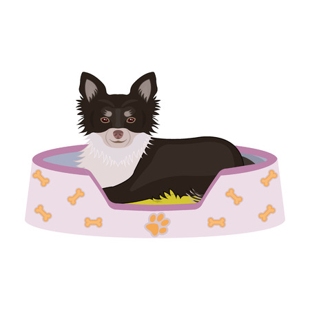 Lounger for a pet, a sleeping place. Dog,care of a pet single icon in cartoon style vector symbol stock illustration web.のイラスト素材