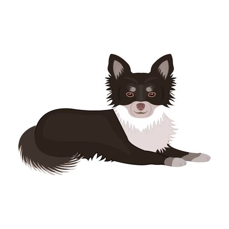 A pet, a lying dog. Pet ,dog care single icon in cartoon style vector symbol stock illustration web.のイラスト素材