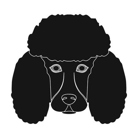 The dog breed is poodle.Muzzle of the poodle single icon in black style vector symbol stock illustration .のイラスト素材