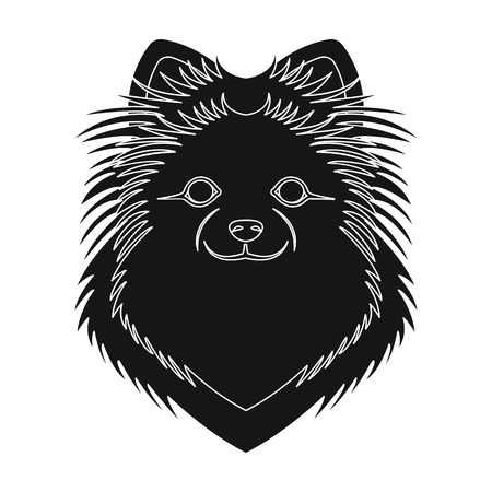 Breed of a dog, spitz.Muzzle Spitz single icon in black style vector symbol stock illustration .のイラスト素材