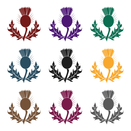Thistles with green leaves.Medicinal plant of Scotland.Scotland single icon in black style vector symbol stock  illustration.のイラスト素材