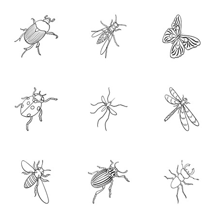 wasp, bee, ant, fly, spider, mosquito and other insect species. Various insects set collection icons in outline style vector symbol stock isometric illustration web.のイラスト素材
