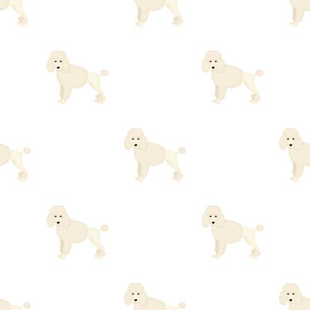 Poodle, single icon in cartoon style.Poodle, vector symbol stock illustration web.のイラスト素材