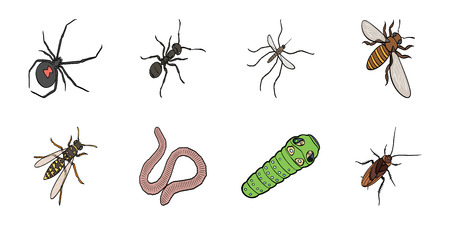 Different kinds of insects icons in set collection for design. Insect arthropod isometric vector symbol stock web illustration.のイラスト素材