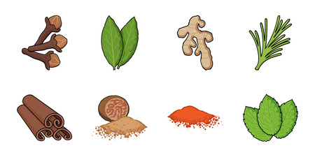 Herb and spices icons in set collection for design.Different kinds of seasonings vector symbol stock web illustration.のイラスト素材