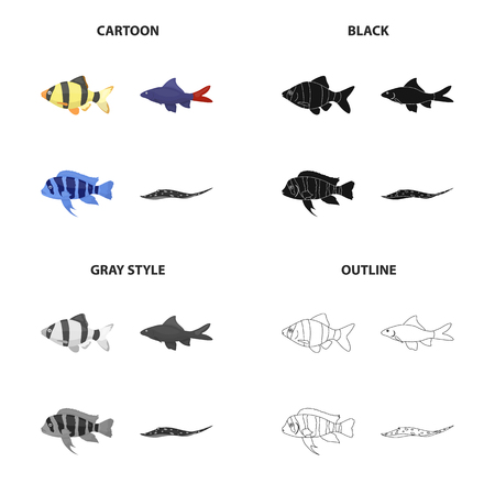 Different types of fish icon.のイラスト素材