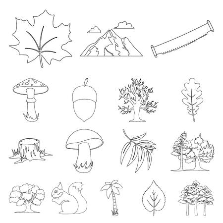 Forest and nature outline icons in set collection for design. Forest life vector symbol stock  illustration.のイラスト素材