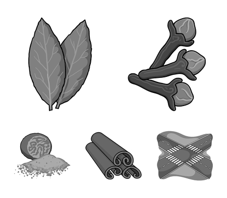 Clove, bay leaf, nutmeg, cinnamon.Herbs and spices set collection icons in monochrome style vector symbol stock illustration web.のイラスト素材