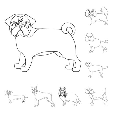 Dog breeds outline icons in set collection for design. Dog pet vector symbol stock web illustration.のイラスト素材