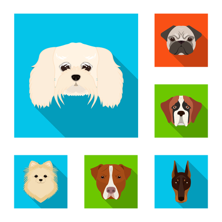 Dog breeds flat icons in set collection for design.Muzzle of a dog vector symbol stock web illustration.のイラスト素材