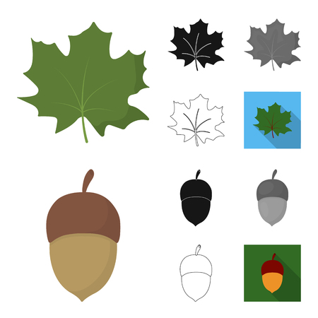 Forest and nature cartoon, black, flat ,monochrome, outline icons in set collection for design. Forest life vector symbol stock web illustration.のイラスト素材
