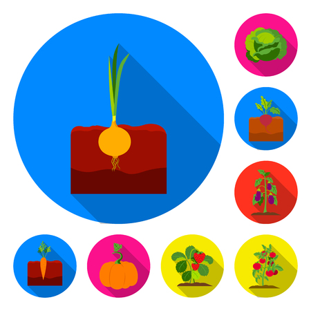 Plant, vegetable flat icons in set collection for design. Garden and harvest vector symbol stock web illustration.のイラスト素材