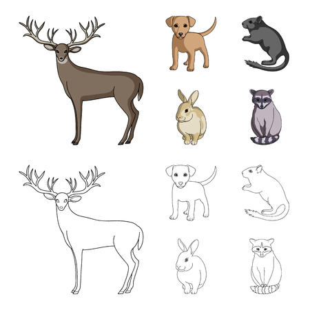 Wild animals set collection illustrationのイラスト素材