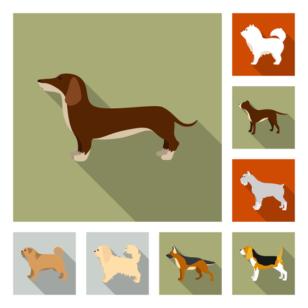 Dog breeds flat icons in set collection for design.Dog pet vector symbol stock  illustration.のイラスト素材