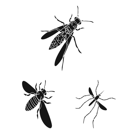 Different kinds of insects black icons in set collection for design. Insect arthropod vector isometric symbol stock web illustration.のイラスト素材