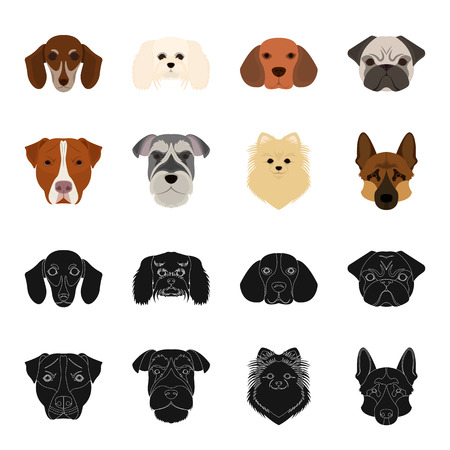 Muzzle of different breeds of dogs.Dog breed Stafford, Spitz, Risenschnauzer, German Shepherd set collection icons in black,cartoon style vector symbol stock illustration web.のイラスト素材