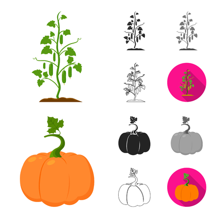 Plant, vegetable cartoon,black,flat,monochrome,outline icons in set collection for design. Garden and harvest vector symbol stock web illustration.のイラスト素材