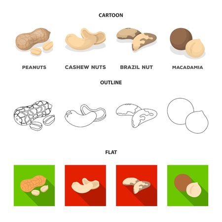 Peanuts, cashews, brazil nuts, macadamia.Different kinds of nuts set collection icons in cartoon,outline,flat style vector symbol stock illustration web.のイラスト素材
