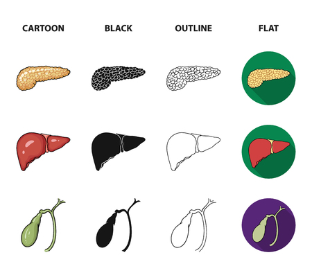 Liver, gallbladder, kidney, brain. Human organs set collection icons in cartoon,black,outline,flat style vector symbol stock illustration web.のイラスト素材