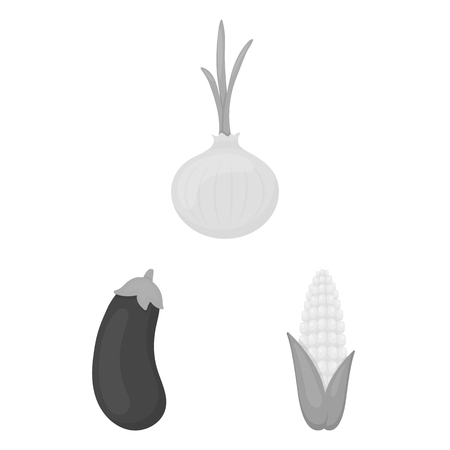 Different kinds of vegetables monochrome icons in set collection for design. Vegetables and vitamins vector symbol stock  illustration.のイラスト素材