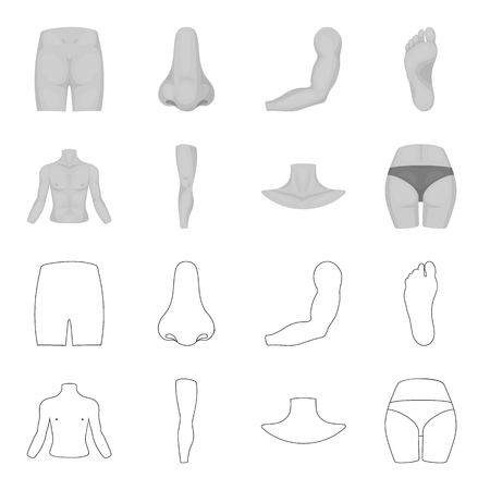 Torso, leg, neck and buttocks. Body parts set collection icons in outline,monochrome style vector symbol stock illustration .のイラスト素材