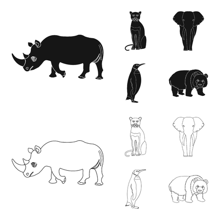 Black rhinoceros, panther wild cat, African animal elephant, imperial penguin. Wild animals set collection icons in black,outline style vector symbol stock illustration .のイラスト素材