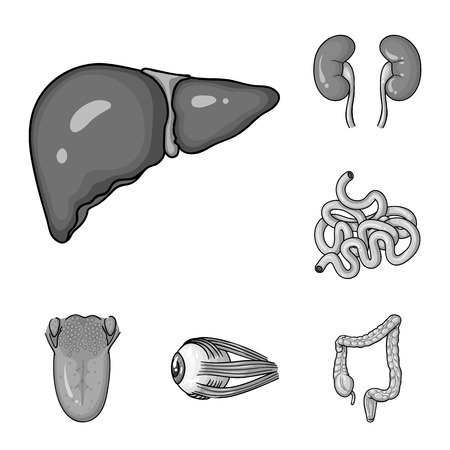 Human organs monochrome icons in set collection for design. Anatomy and internal organs vector symbol stock web illustration.のイラスト素材