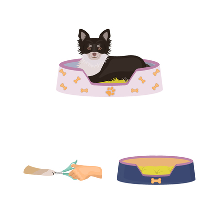 Pet cartoon icons in set collection for design. Care and education vector symbol stock  illustration.のイラスト素材