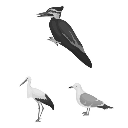 Types of birds monochrome icons in set collection for design. Home and wild bird vector symbol stock web illustration.のイラスト素材