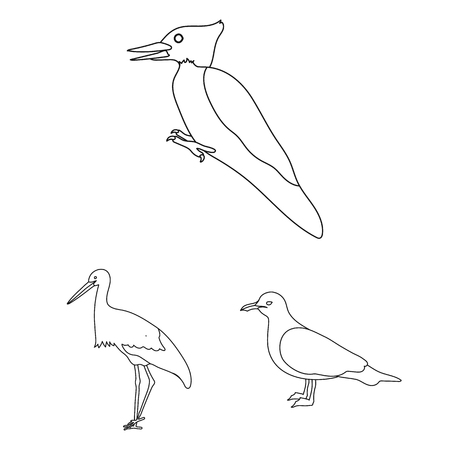 Types of birds outline icons in set collection for design. Home and wild bird vector symbol stock  illustration.のイラスト素材