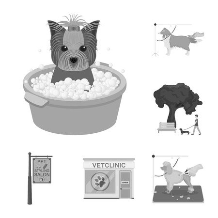 Pet monochrome icons in set collection for design. Care and education vector symbol stock  illustration.のイラスト素材