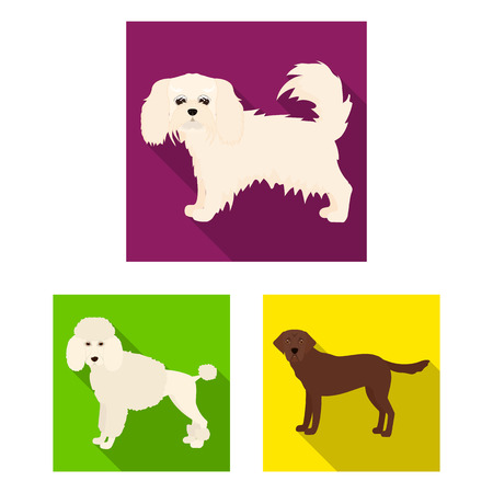 Dog breeds flat icons in set collection for design.Dog pet vector symbol stock web illustration.のイラスト素材