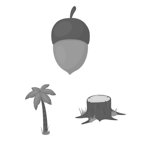 Forest and nature monochrome icons in set collection for design. Forest life vector symbol stock web illustration.のイラスト素材