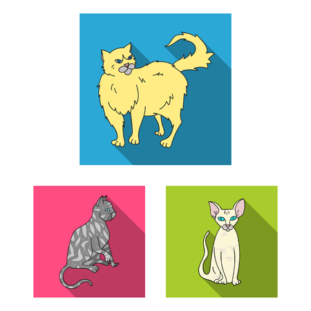 Breeds of cats flat icons in set collection for design. Pet cat vector symbol stock web illustration.のイラスト素材