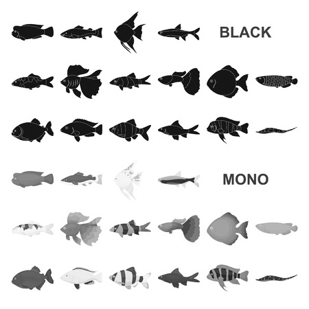 Different types of fish black icons in set collection for design. Marine and aquarium fish vector symbol stock illustration.のイラスト素材