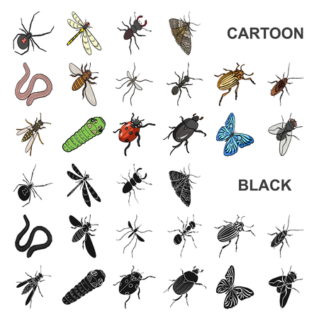 Different kinds of insects cartoon icons in set collection for design. Insect arthropod vector isometric symbol stock  illustration.のイラスト素材