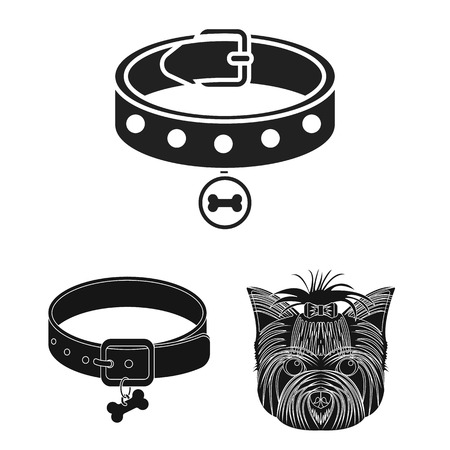 Isolated object of pet and accessories symbol. Collection of pet and shop stock symbol for web.のイラスト素材