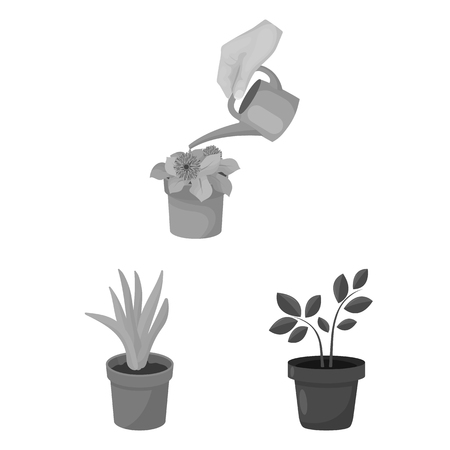 Isolated object of plant and flower icon. Set of plant and pot stock symbol for web.のイラスト素材